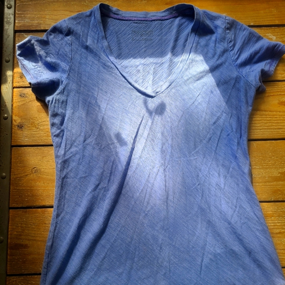 Patagonia tee